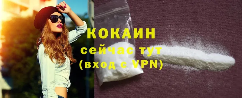 COCAIN Боливия Карачев